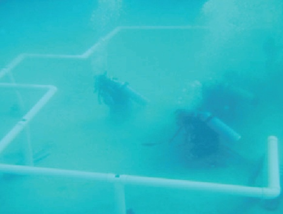 Saudi divers build world's first-ever underwater mosque