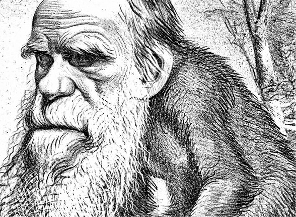 Darwin’s Theory of Evolution: A Theory that became an Ideology of Denial